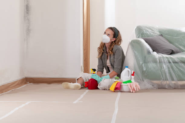 Reliable Mold Remediation contractor in Georgetown, TX by Cheap Mold Removal